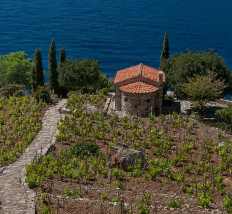 Paesaggio agricolo elbano