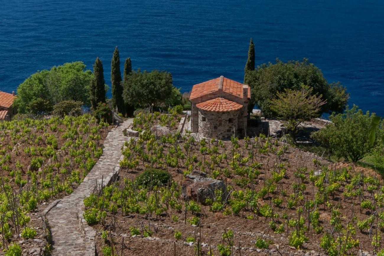 Paesaggio agricolo elbano