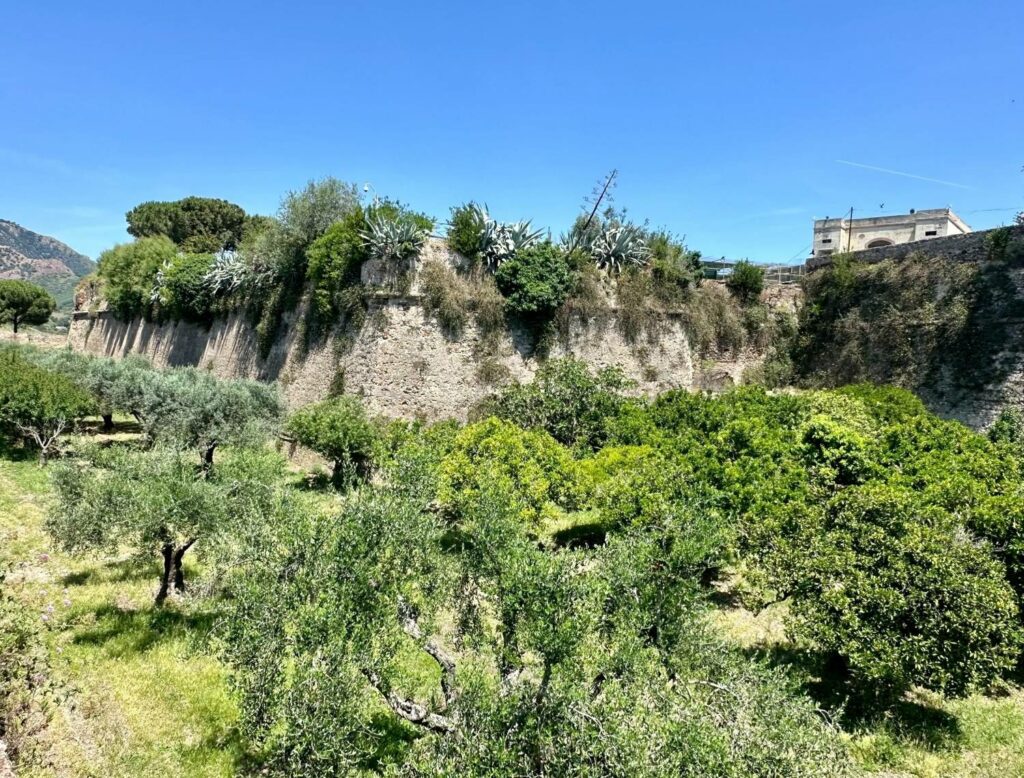 PREMIO CASTELLI FORTE SAN GIACOMO