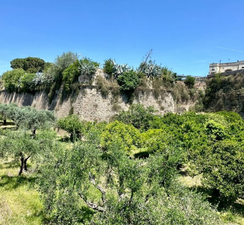 PREMIO CASTELLI FORTE SAN GIACOMO
