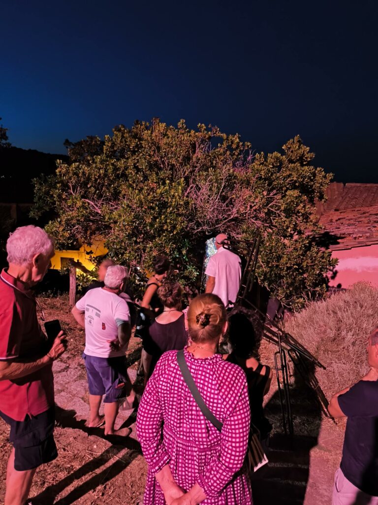 Castanetum Flower Festival: coltivare il bosco, custodire la comunità