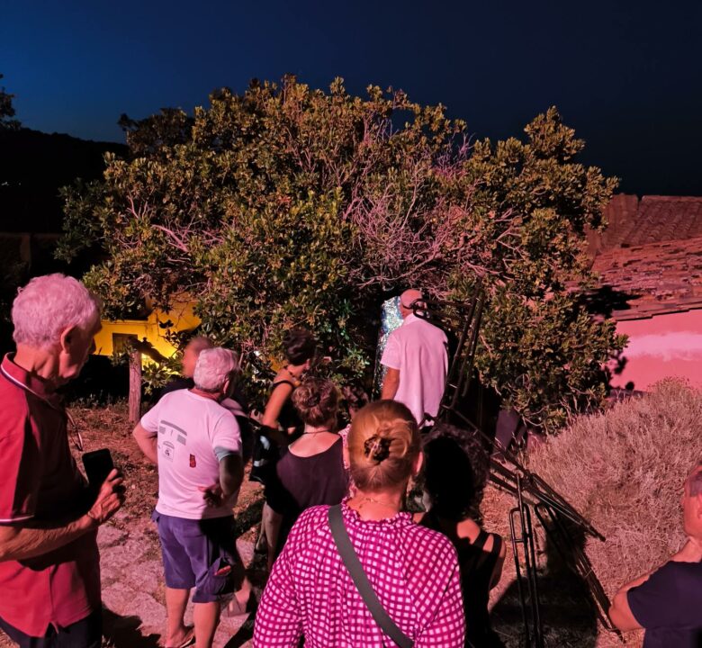 Castanetum Flower Festival: coltivare il bosco, custodire la comunità