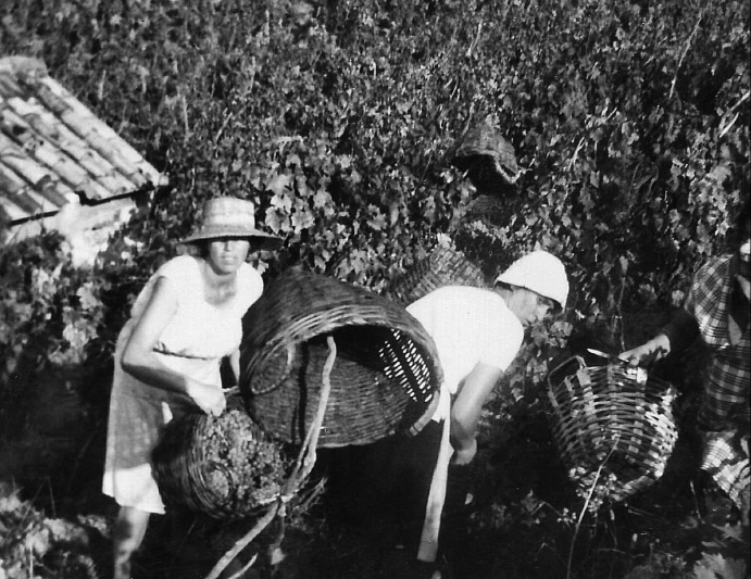 vendemmia-3donne